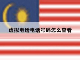 虚拟电话电话号码怎么查看