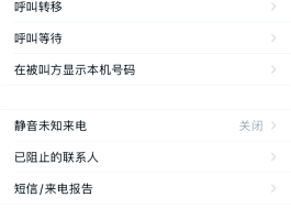 网络电话自定义手机号怎么设置不了密码