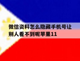 微信资料怎么隐藏手机号让别人看不到呢苹果11的简单介绍