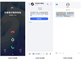 虚拟电话在线拨打官网怎么设置