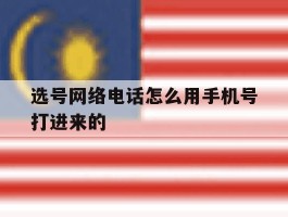 选号网络电话怎么用手机号打进来的