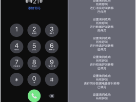 网络电话对方能看到号码吗怎么设置的简单介绍