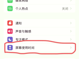 怎么可以使用网络电话打进来呢