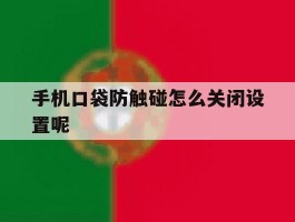 手机口袋防触碰怎么关闭设置呢