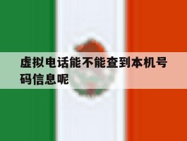 虚拟电话能不能查到本机号码信息呢