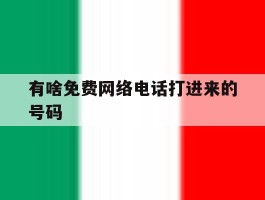 有啥免费网络电话打进来的号码