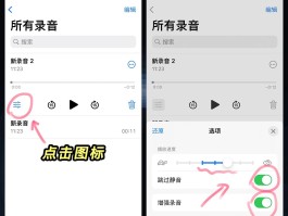 ip打电话听不到声音怎么设置的呢苹果手机的简单介绍