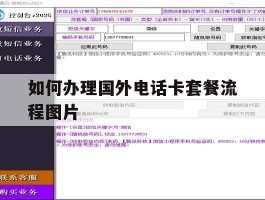 如何办理国外电话卡套餐流程图片