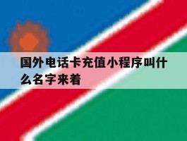 国外电话卡充值小程序叫什么名字来着