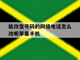 关于能改变号码的网络电话怎么改呢苹果手机的信息