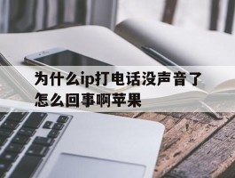 为什么ip打电话没声音了怎么回事啊苹果