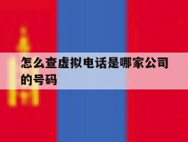 怎么查虚拟电话是哪家公司的号码
