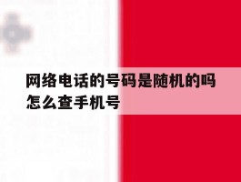 包含网络电话的号码是随机的吗怎么查手机号的词条