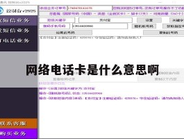 网络电话卡是什么意思啊