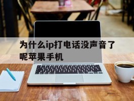 为什么ip打电话没声音了呢苹果手机