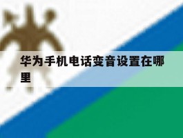 华为手机电话变音设置在哪里